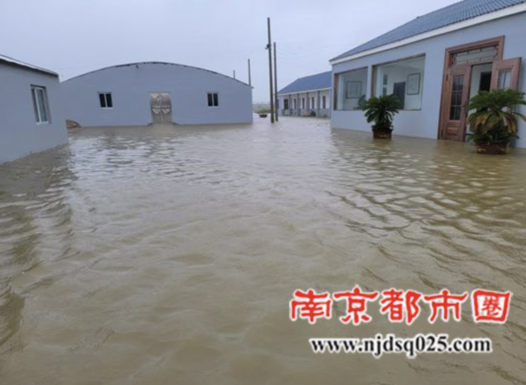 截屏2025-07-14 09 截屏2025-07-14 09